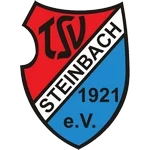 TSV Steinbach Haiger crest
