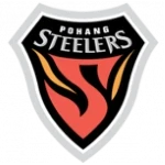 Pohang Steelers crest