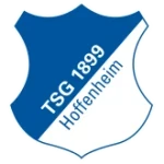 TSG Hoffenheim II U23 crest